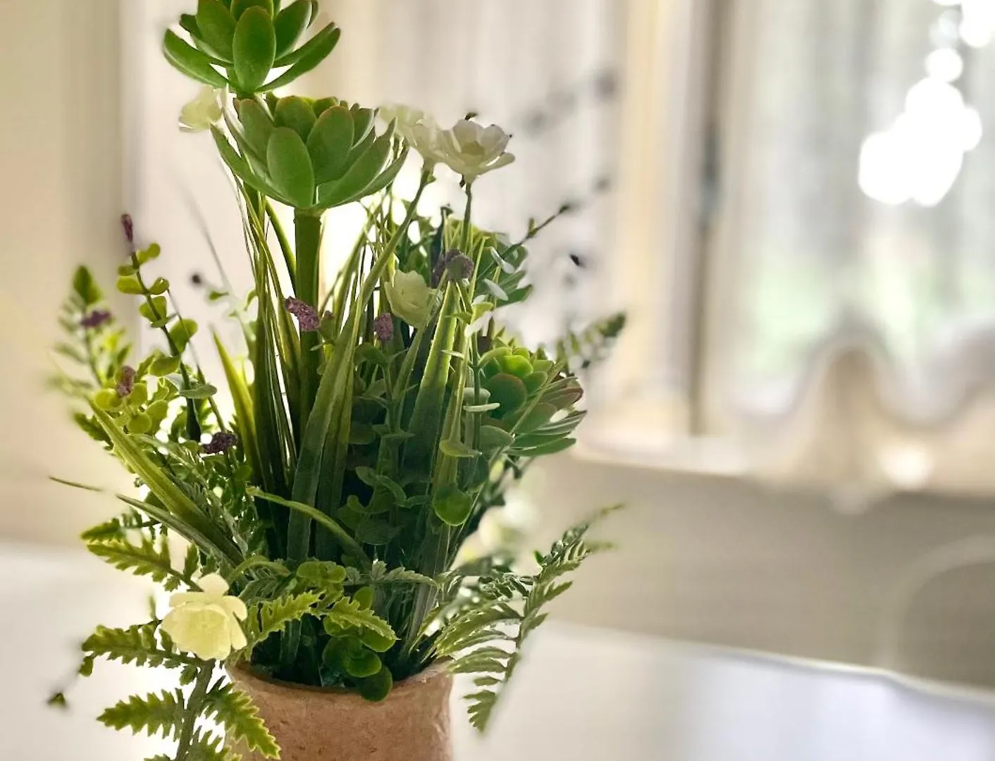 Dal Zaro Home Scandolara Ravara